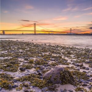 Forth Road Bridge