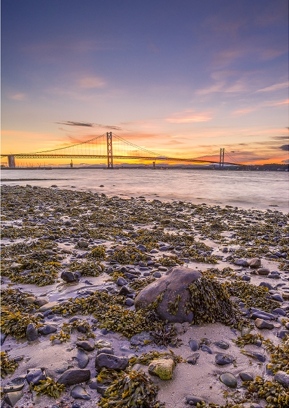 Forth Road Bridge