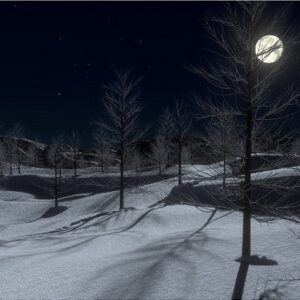 Full Moon Over Snow