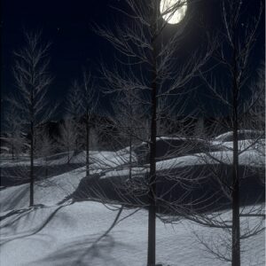 Full Moon Over Snow