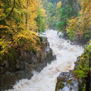 River Braan at Hermitage Falls in full Spate